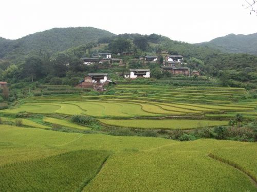 趙家莊村(山西省陽泉市平定縣冶西鎮行政村)