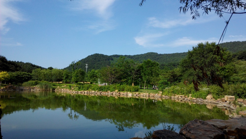 石洞溝森林公園