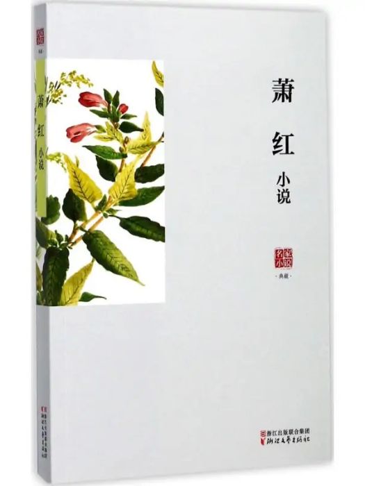 蕭紅小說(2017年浙江文藝出版社出版的圖書)