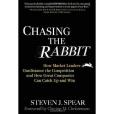 Chasing the Rabbit