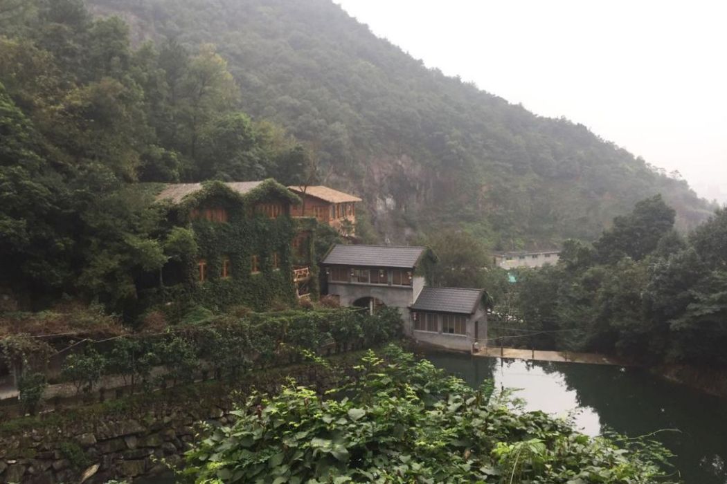 水東鄉舍森林康養基地