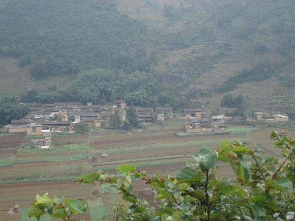 大牛廠村(雲南省文山州西疇縣西灑鎮下轄村)