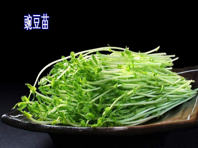 油豆皮蒸肉卷