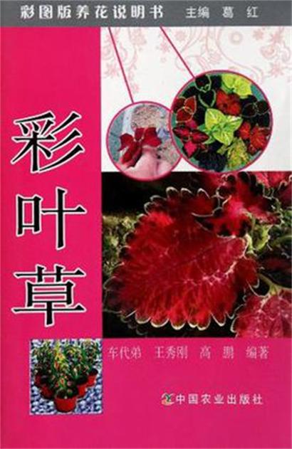 彩葉草（彩圖版養花說明書）