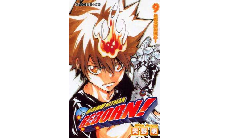 家庭教師HITMAN REBORN!(09)