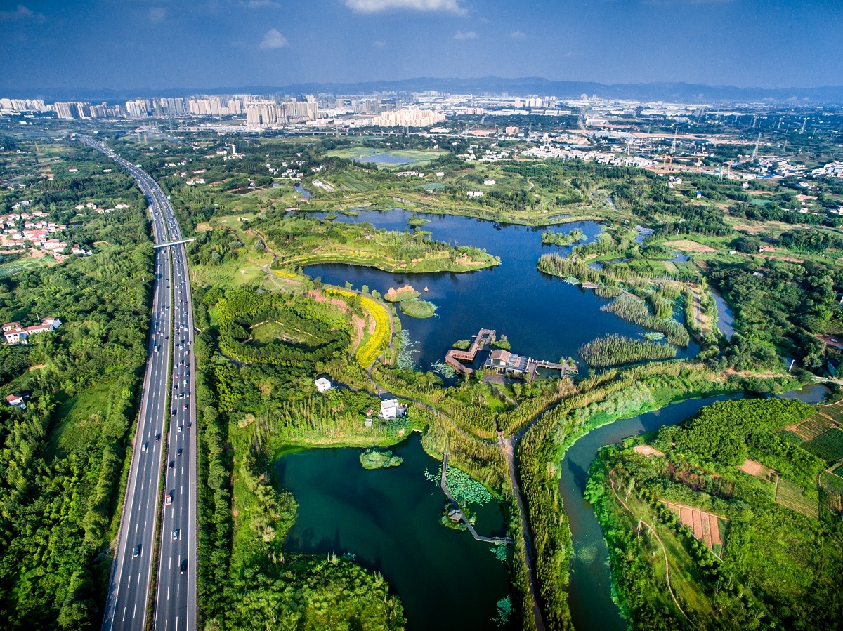 白鷺灣濕地公園