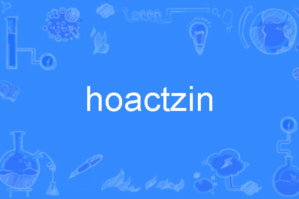 hoactzin