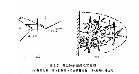 奧氏體的結晶及形態