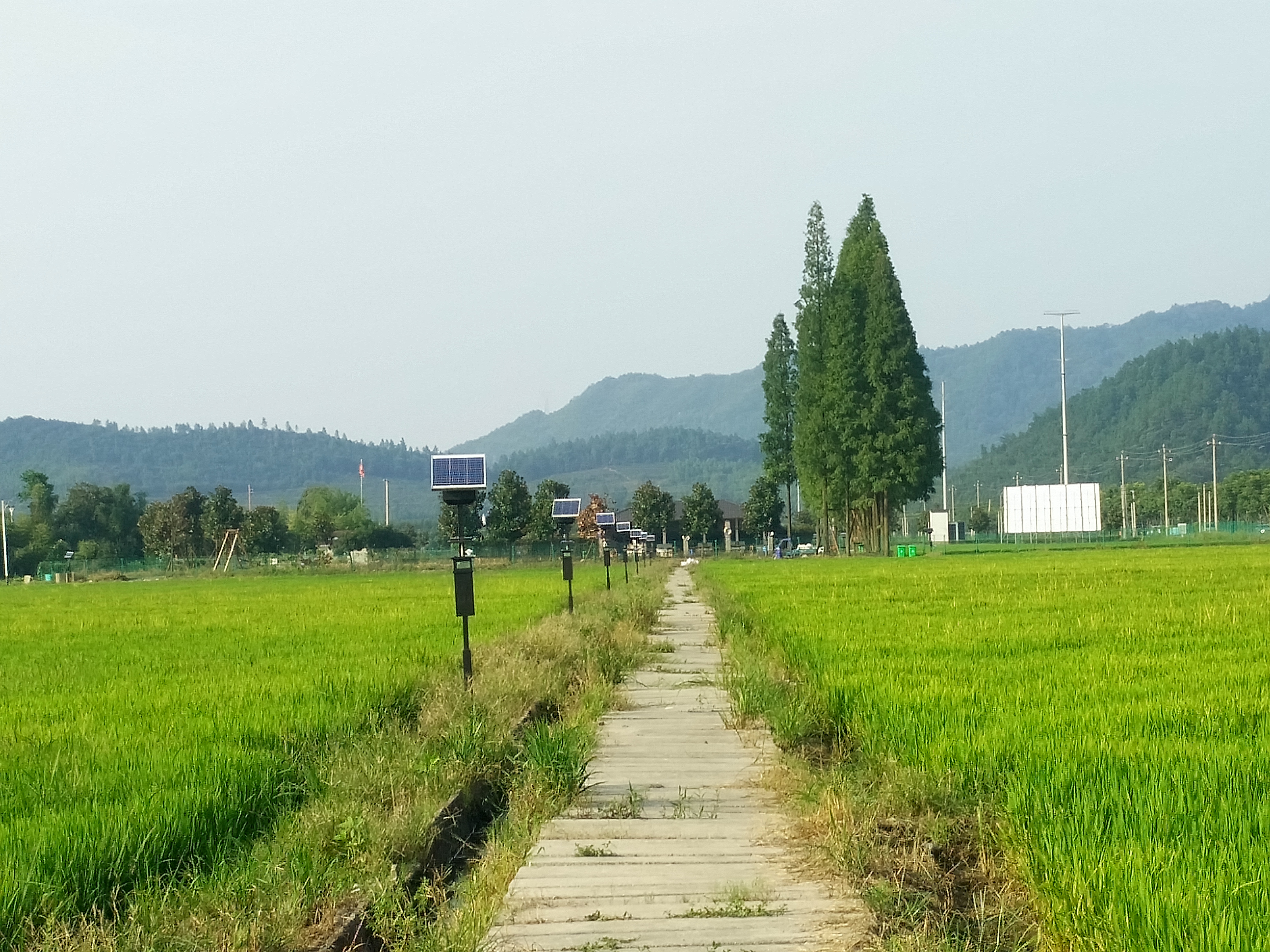 病蟲害綠色防控