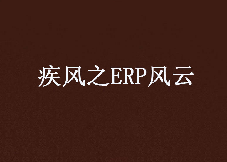 疾風之ERP風雲