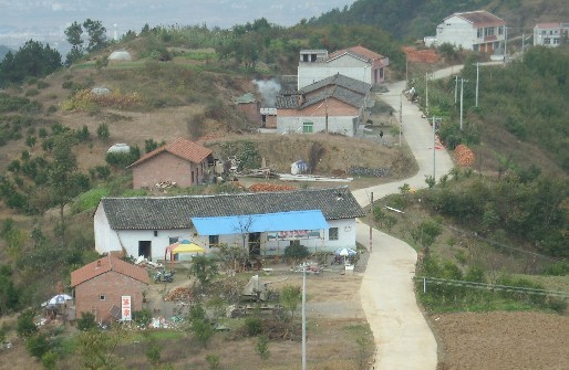 山頂鳥瞰