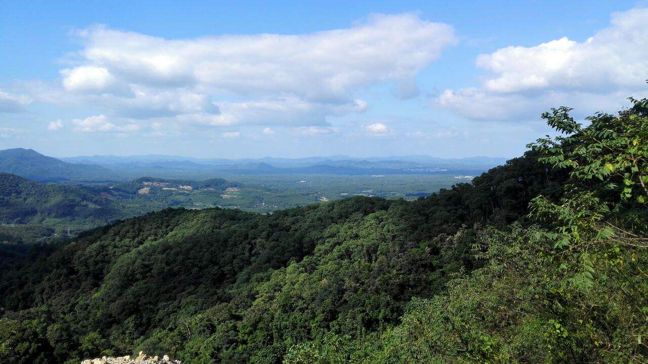 黎母山林區