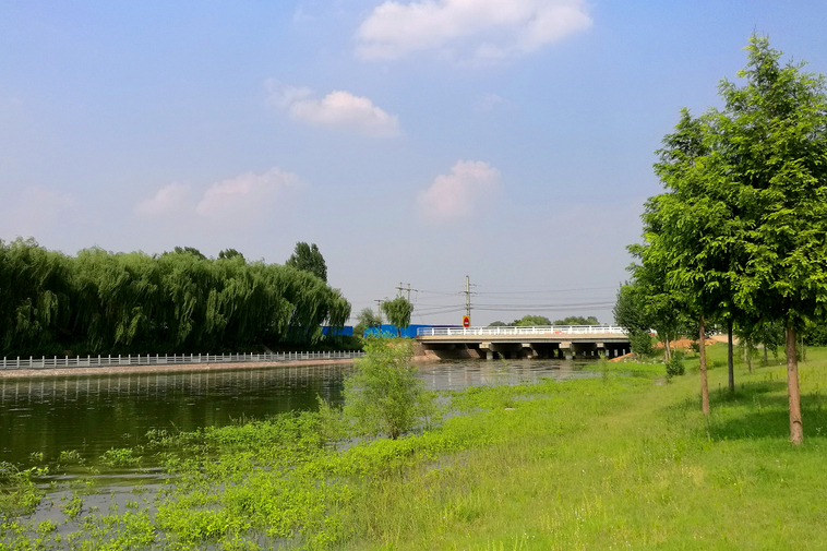 臨邑夏口濱河公園