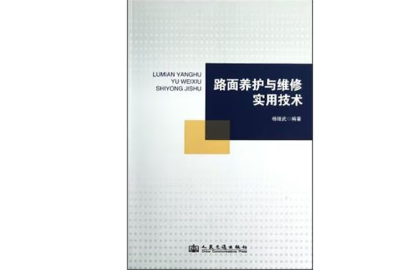 路面養護與維修實用技術(2012年人民交通出版社出版的圖書)