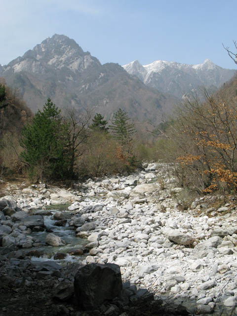 蒿溝村 美麗的景色