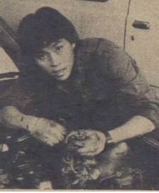 過山車(1982年TVB出品電視劇)