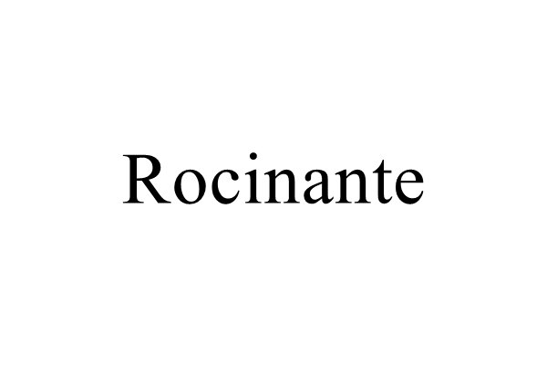 Rocinante