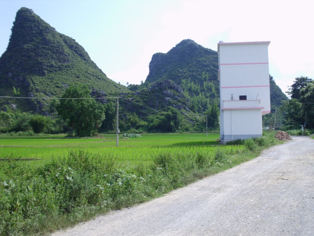 新田村(雲南省尋甸縣聯合鄉下轄村)