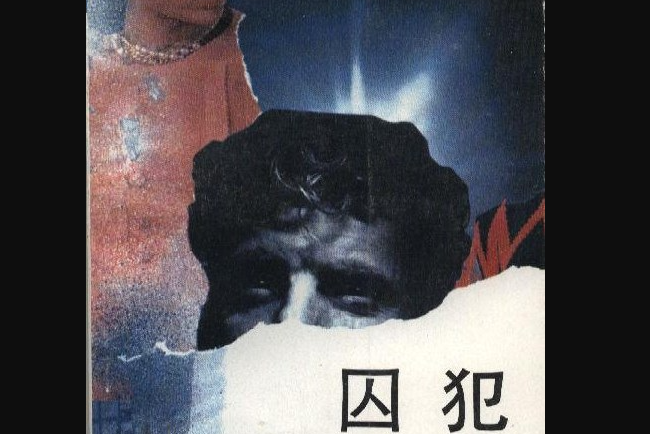 囚犯(1988年中國社會科學出版社出版的圖書)