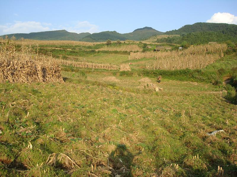 水溝頭自然村(扎西鎮大河村民委員會下轄自然村)