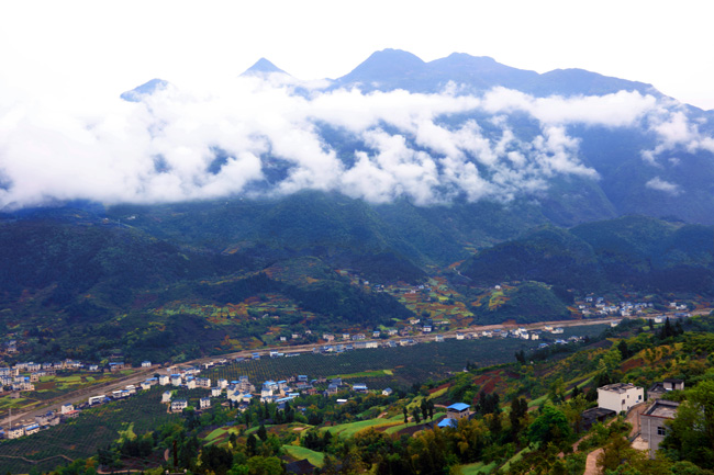 營盤村(新平縣揚武鎮大開門村民委員會下轄村)