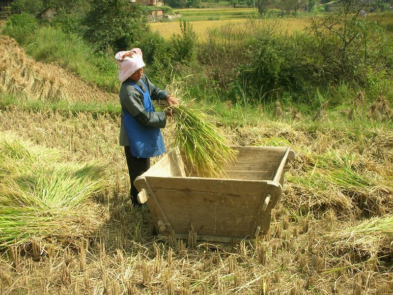 木帖自然村