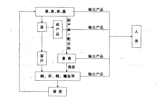 桑蔗果燕基魚塘模式