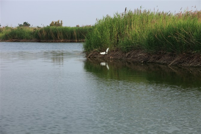 黃河灣