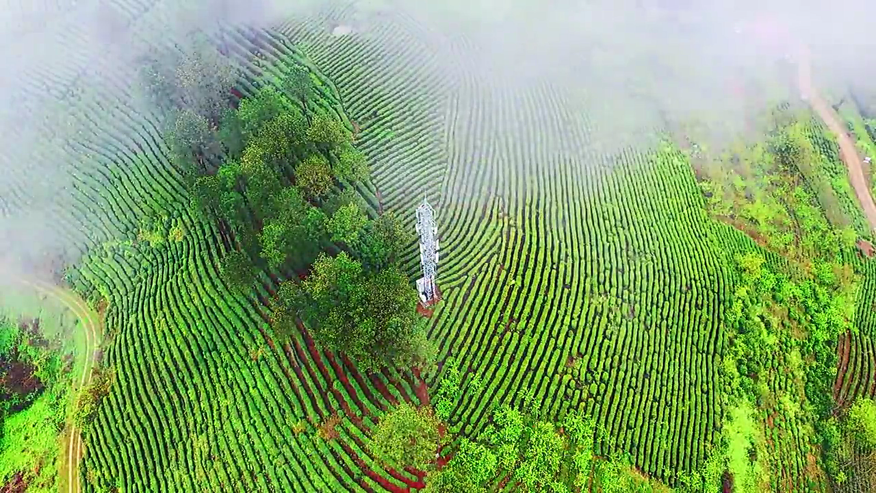 午子山景區