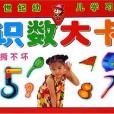 識數大卡/新世紀幼兒學習卡