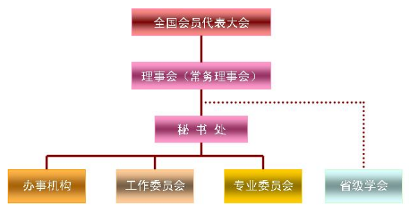 組織機構圖