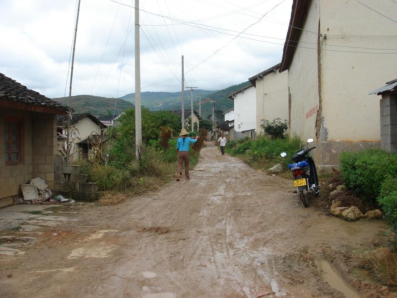 常村自然村村內道路