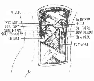 腰三角