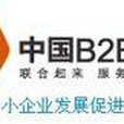 中國B2B聯盟