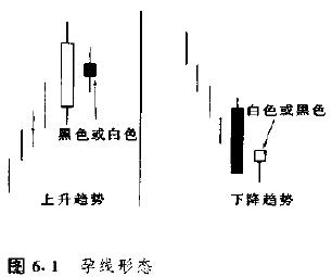 孕線形態