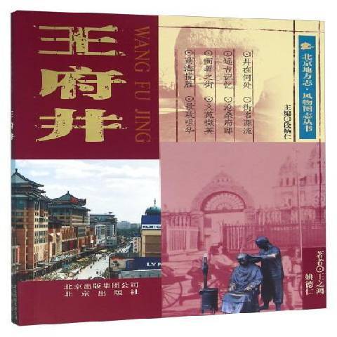 王府井(2005年北京出版社出版的圖書)