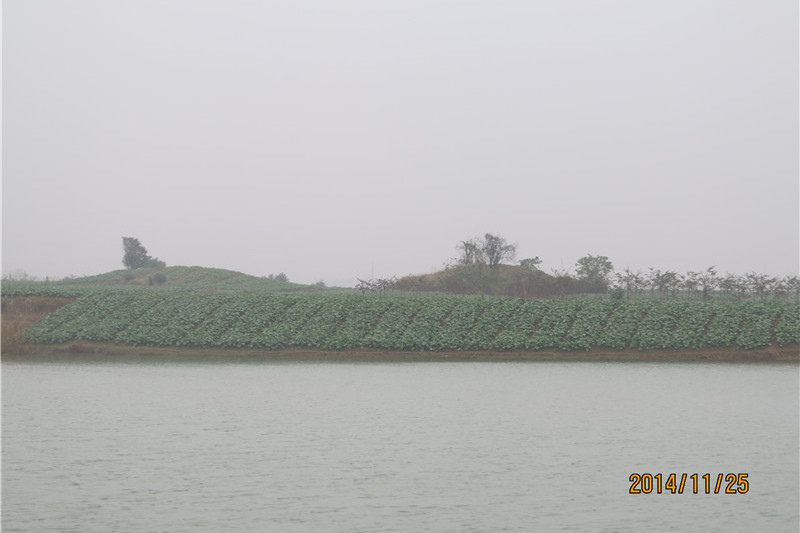 大莊裡土墩墓群