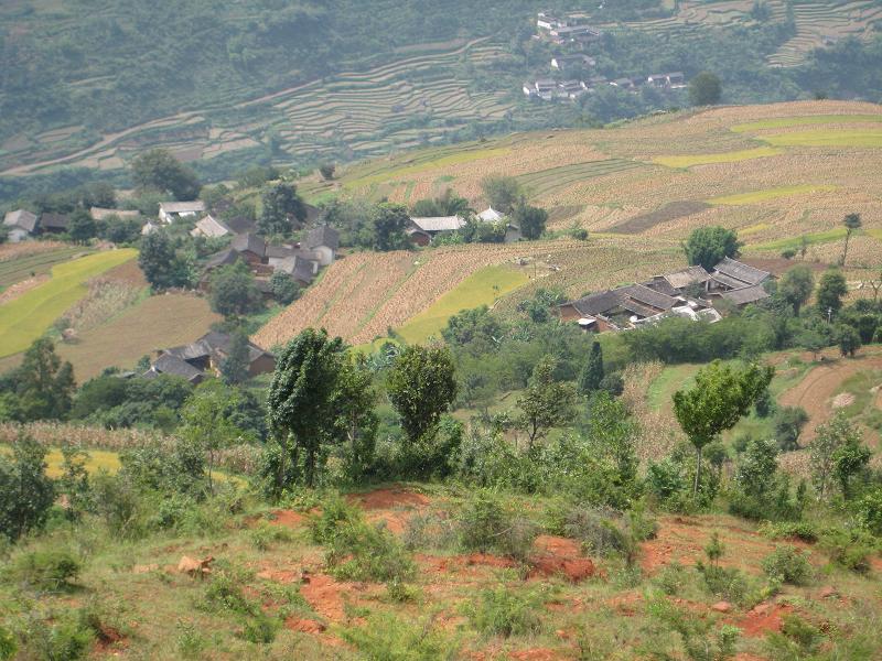 岔地壩村