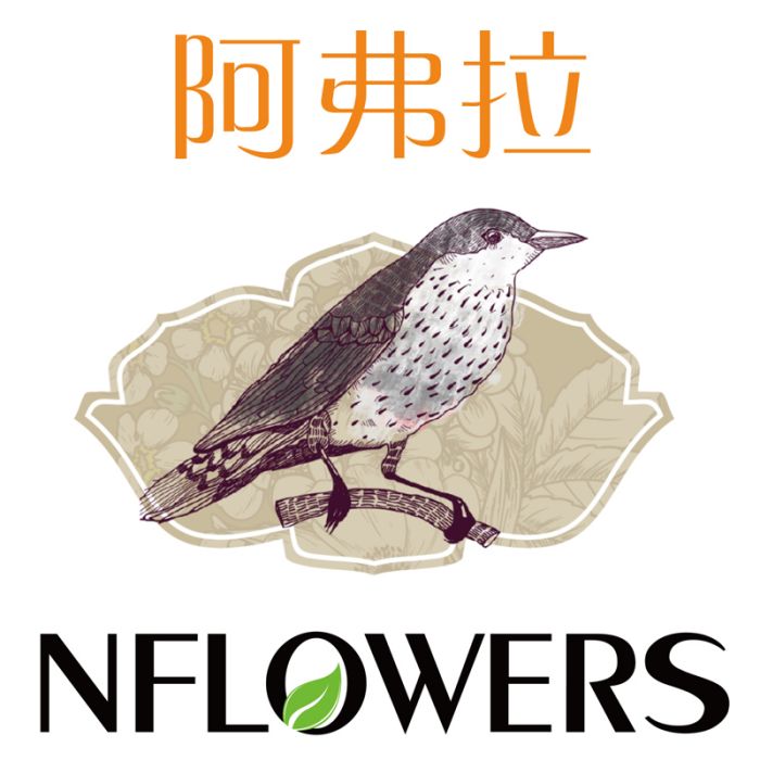 阿弗拉(NFLOWERS)