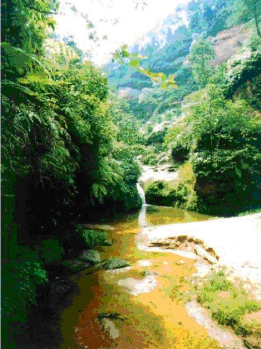 五條溝自然風景生態旅遊區(五條溝)