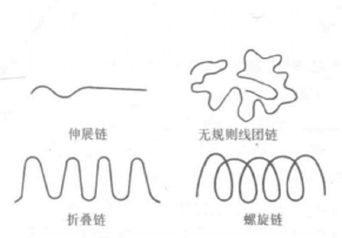 大尺寸構象