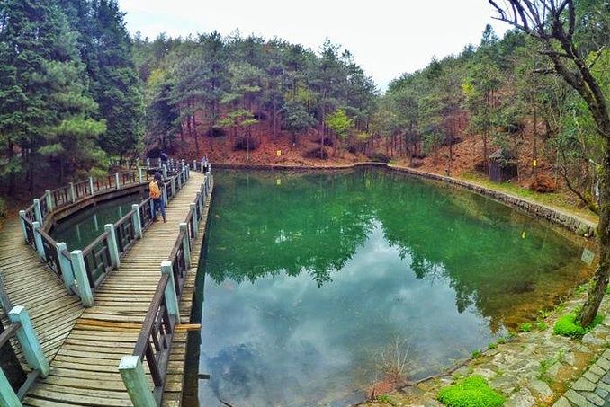 觀山森林公園