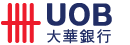 大華LOGO