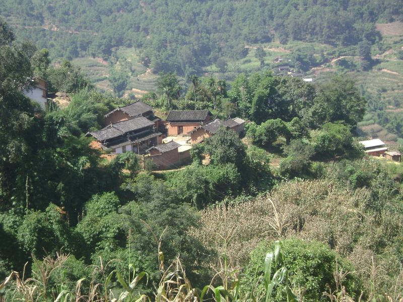 打廠箐村(雲南姚安縣前場鎮下轄村)