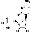 胞啶 5\x27-磷酸鹽游離酸