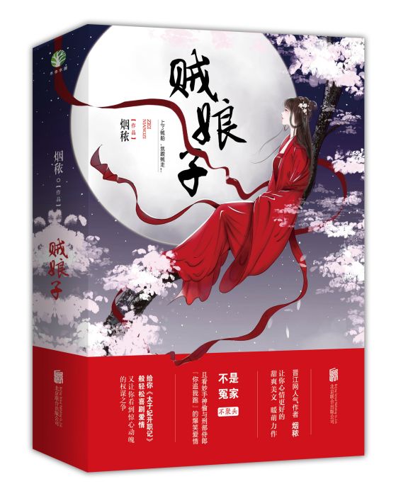 賊娘子(煙穠的小說)