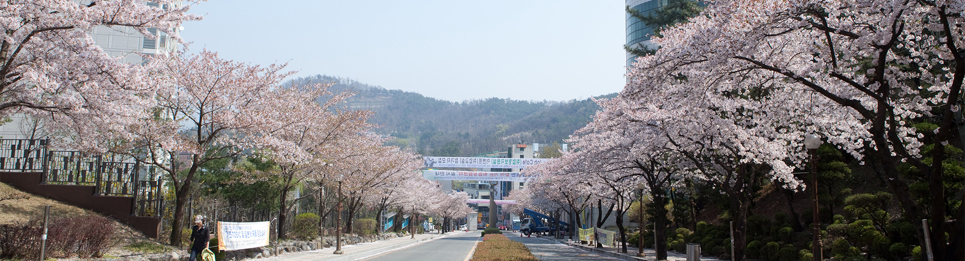 韓國壽城大學