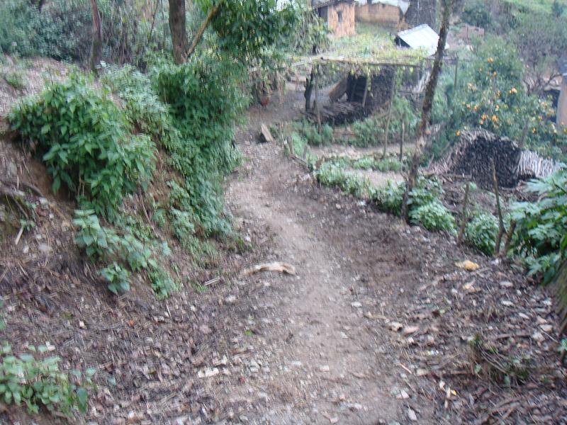 曼嘎村(雲南省普洱市墨江縣聯珠鎮曼嘎村)