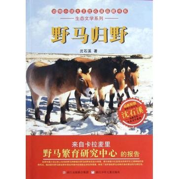 動物小說大王沈石溪品藏書系·生態文學系列