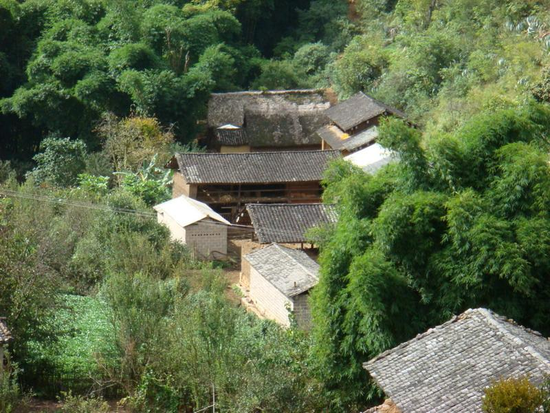 水塘自然村(雲南省昭通鎮雄縣以古鄉岩洞腳村水塘自然村)